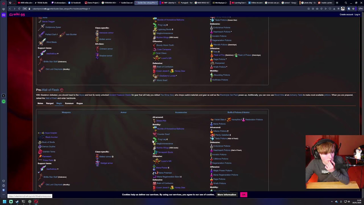 I am going to strangle Skeletron to death (Terraria calamity)