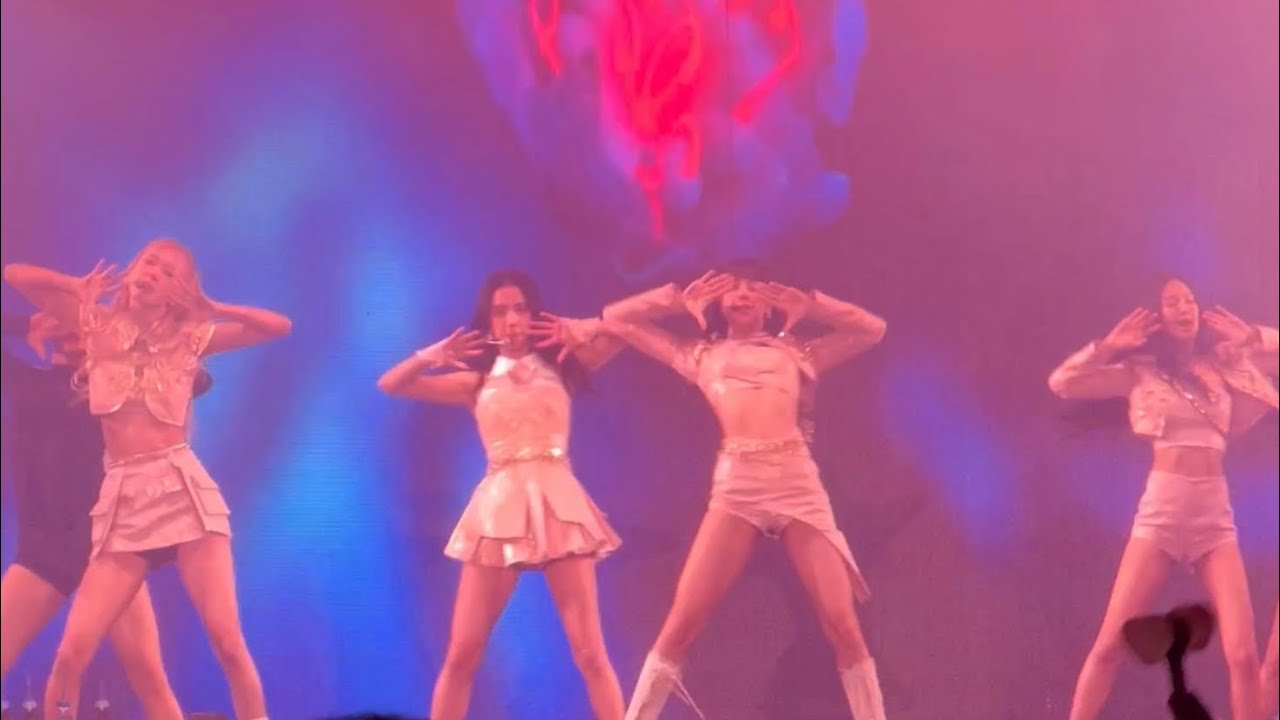 221119 Pretty Savage Blackpink Born Pink Tour LA Day 1 Concert 블랙핑크 Live Fancam Performance