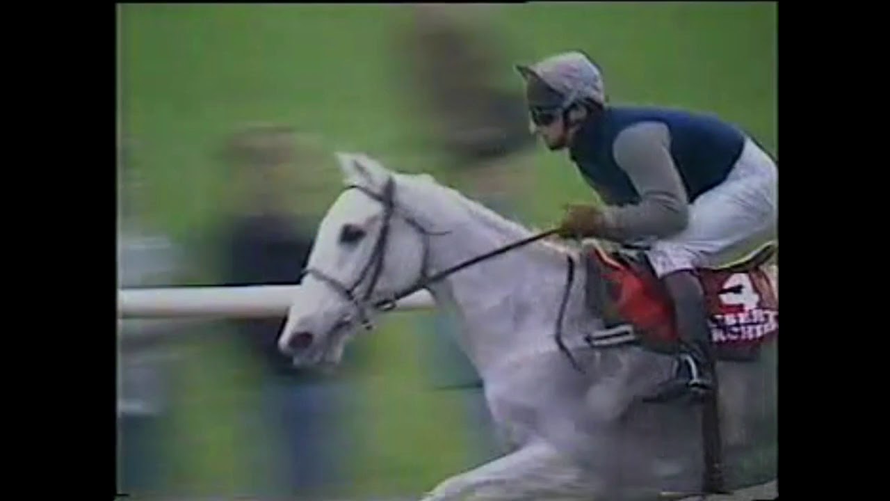 1988 King George VI Gold Cup  Chase Extended footage Kempton