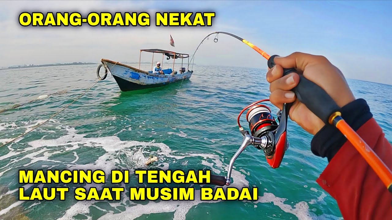 EMANG KURANG KERJAAN ORANG-ORANG INI😂😂‼️NEKAT BANGET SAMPAI BADAI DIAJAK MAIN KUCING-KUCINGAN