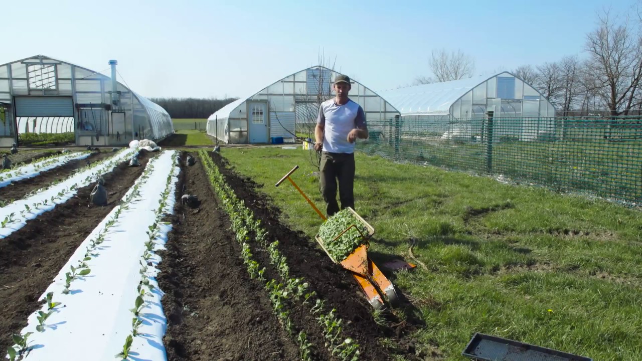 How to Use a PaperPot Transplanter