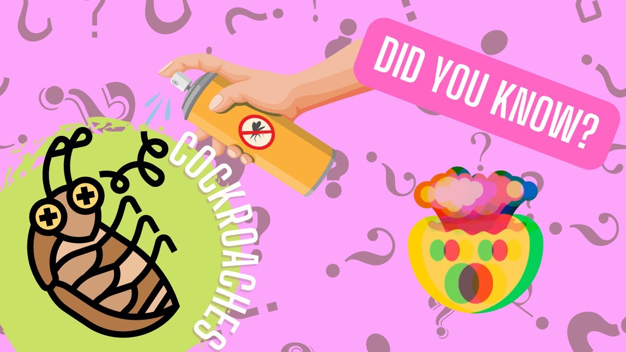 DID YOU KNOW - this creepy fact about cockroaches 🪳 🪳🤢🤮
