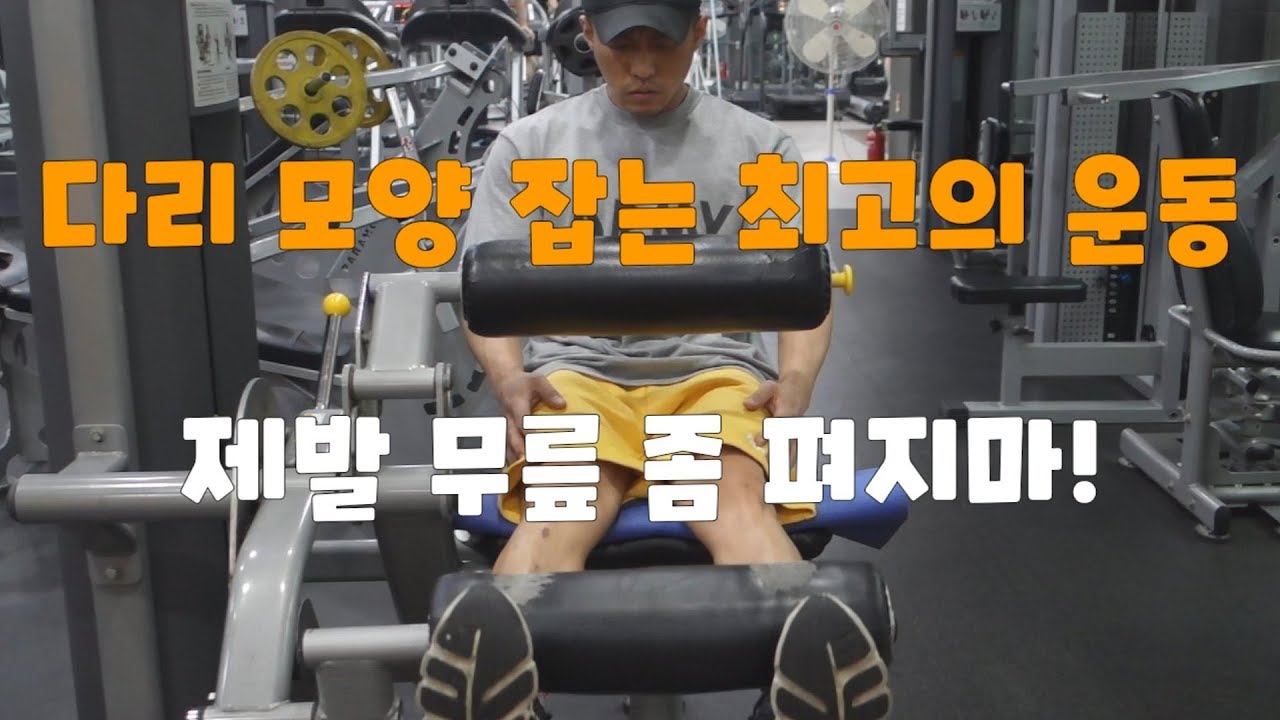 하체운동-레그익스텐션(Leg Extension)의 모든것!