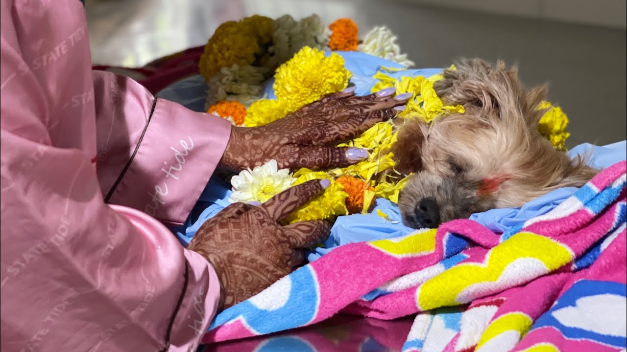 Rest in peace COCO - Mera Rajkumar❤️