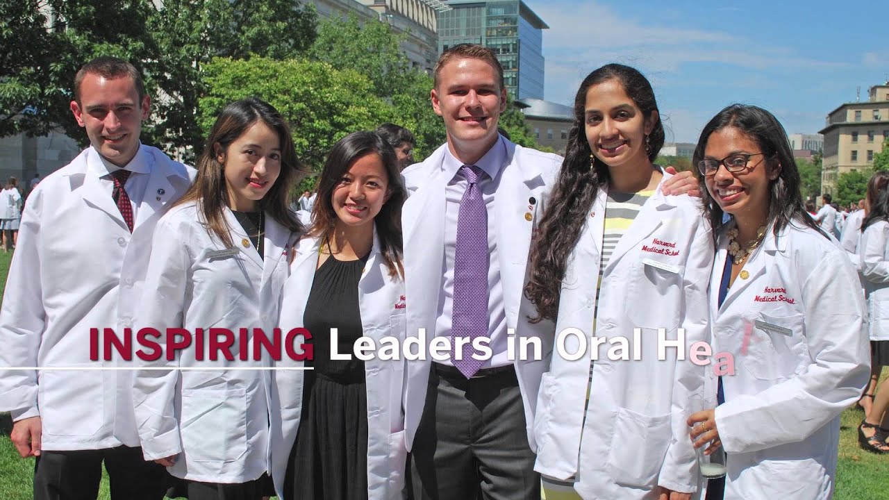 Harvard School of Dental Medicine Overview