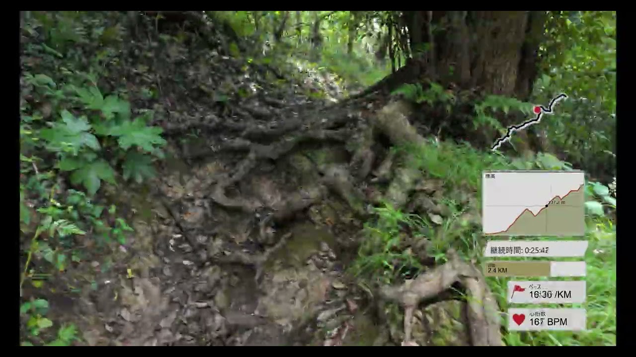 【バーチャルラン】【４K】前田橋から大楠山（ノーカット早送り）