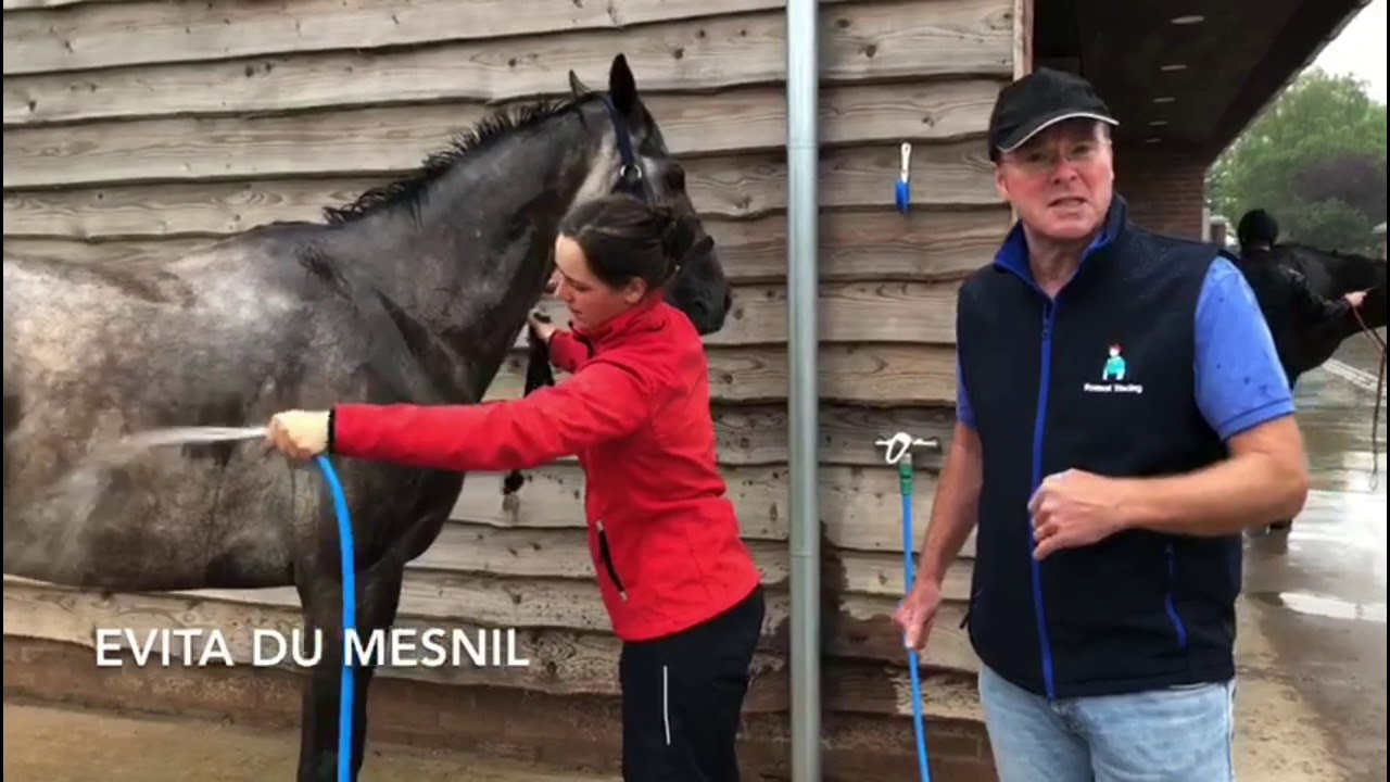 A pre-season stable visit with Dr Richard Newland around Urloxhey