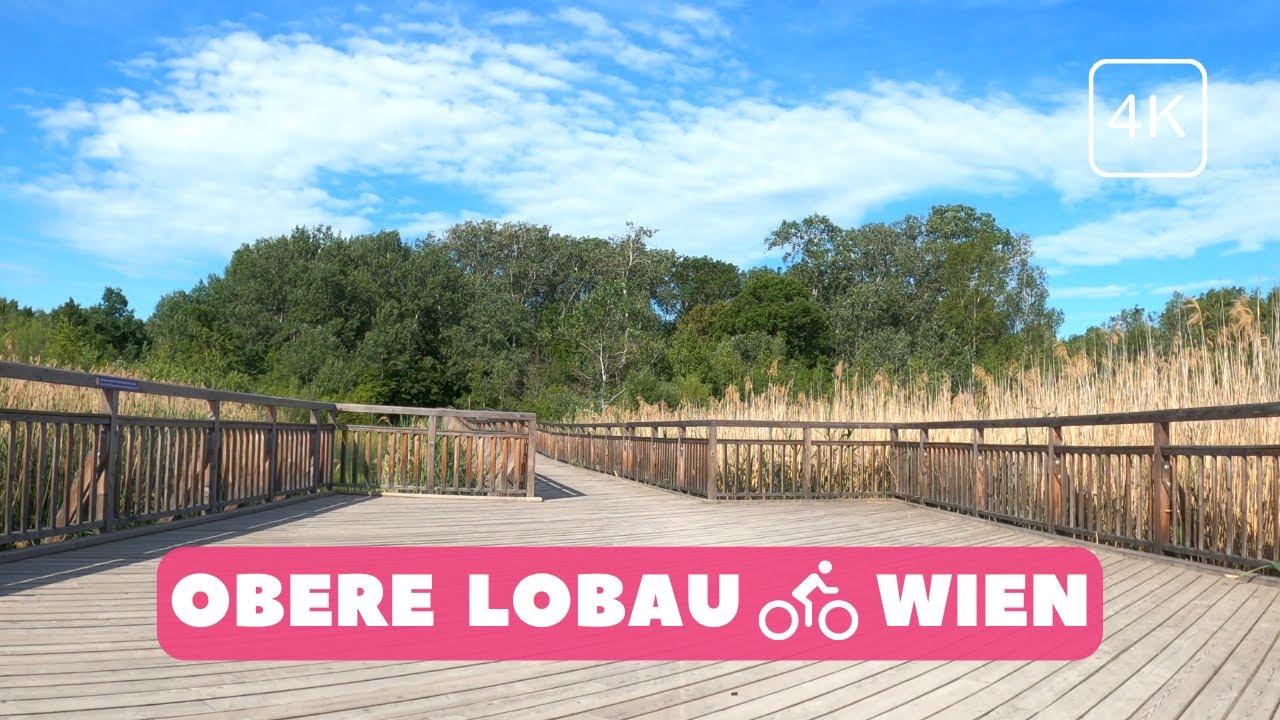 So hast du die Lobau noch nie gesehen | Wien am Rad