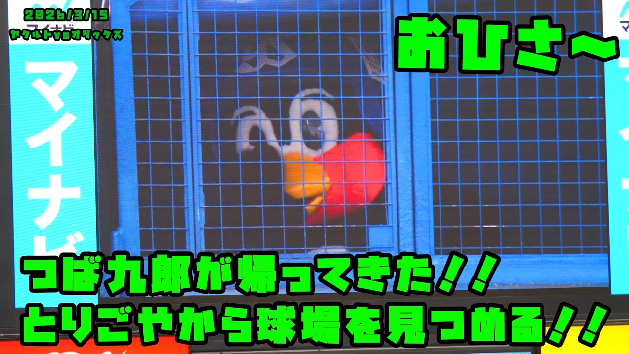 つば九郎が帰ってきた！！　とりごやから球場を見つめる！！　2026/3/15 vsオリックス