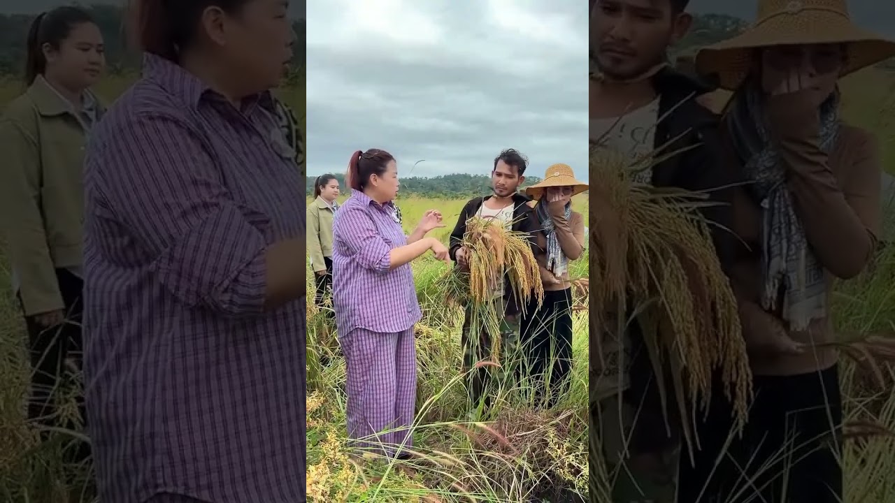 បងស្រីទឹកចិត្តល្អណាស់
