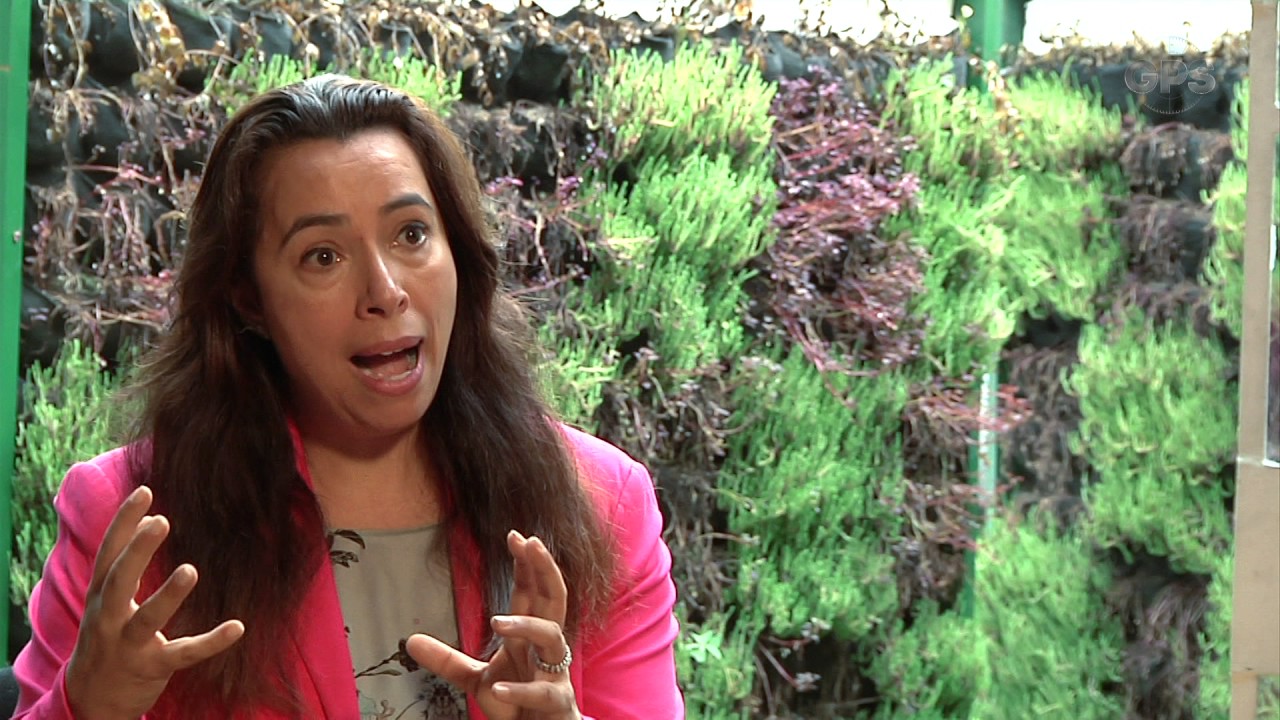 Conservación ambiental: un reto para el país II