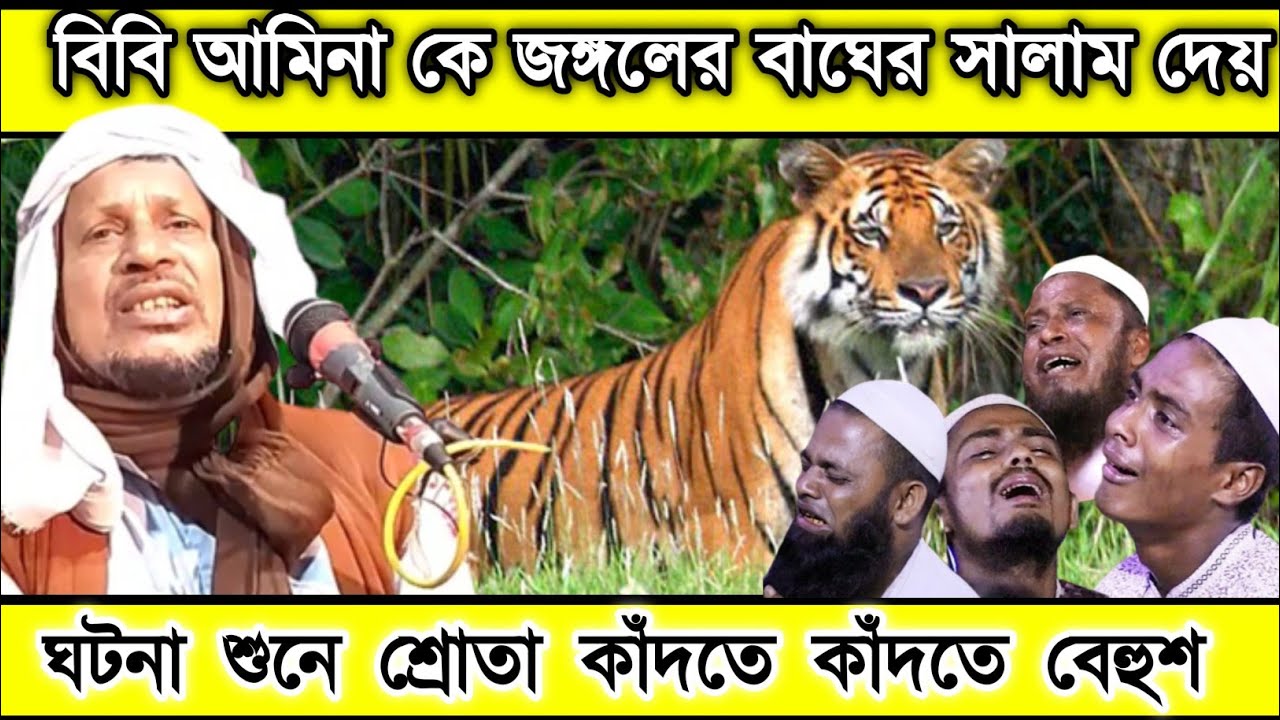 বিবি আমিনা কে জঙ্গলের বাঘ সালাম দেয়। Maulana Abdus Sabur Umri Jalsa. মাওলানা আব্দুস সবুর উমরী জলসা।