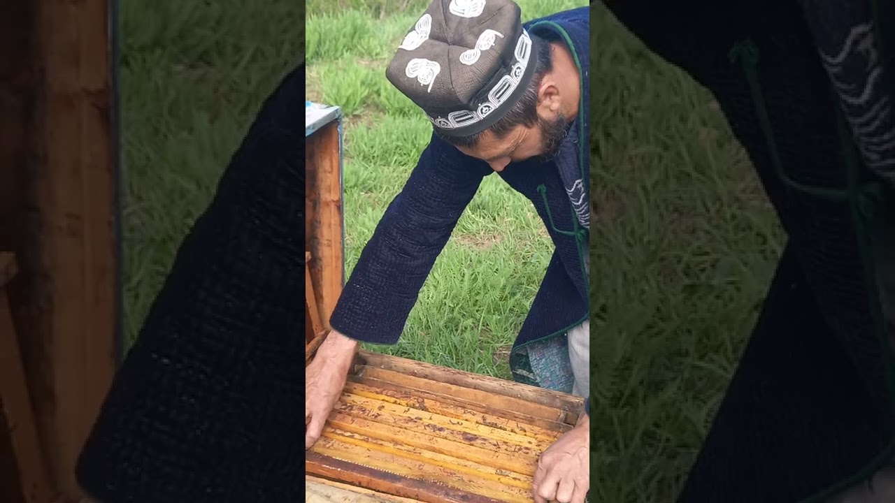 фароб   занбур парвари .