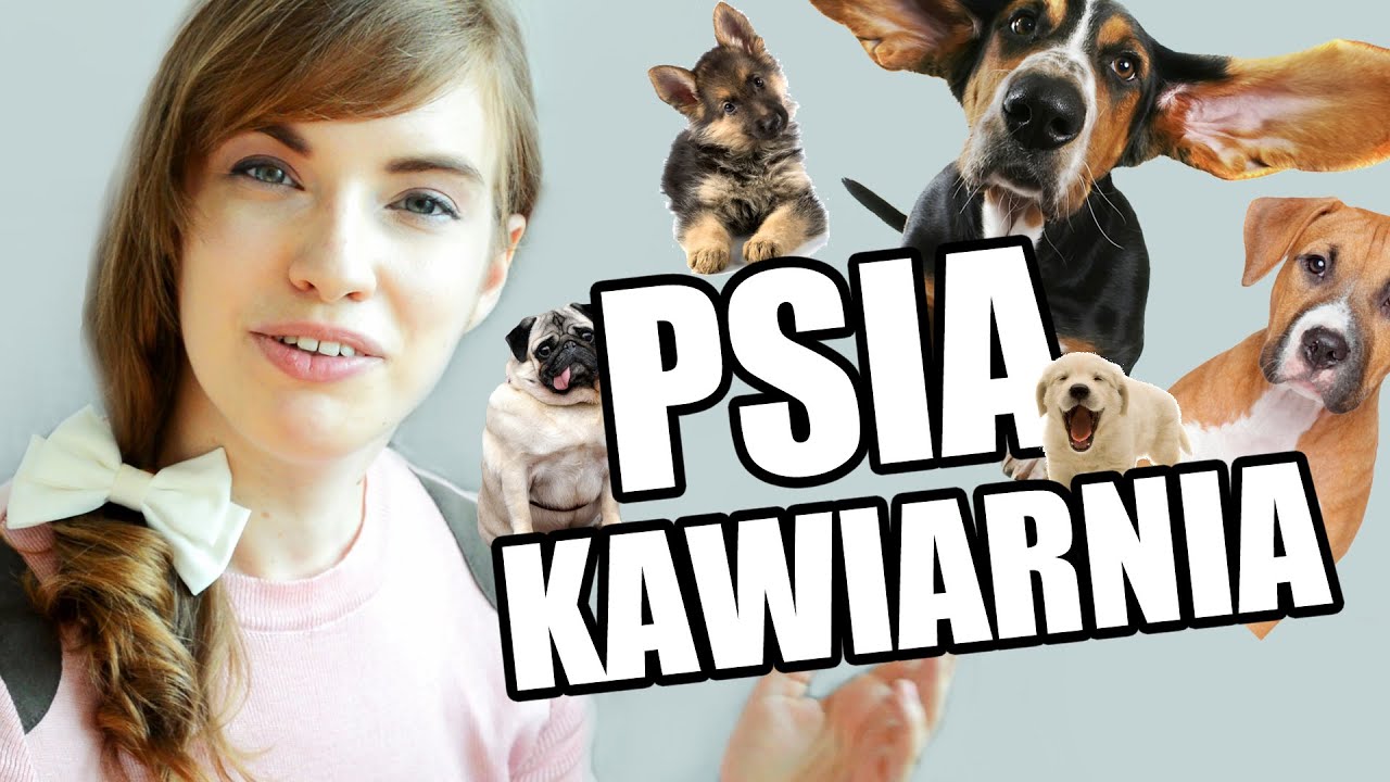 Korea Warta Poznania: PSIA KAWIARNIA I PARK [Pyra w Korei #8]