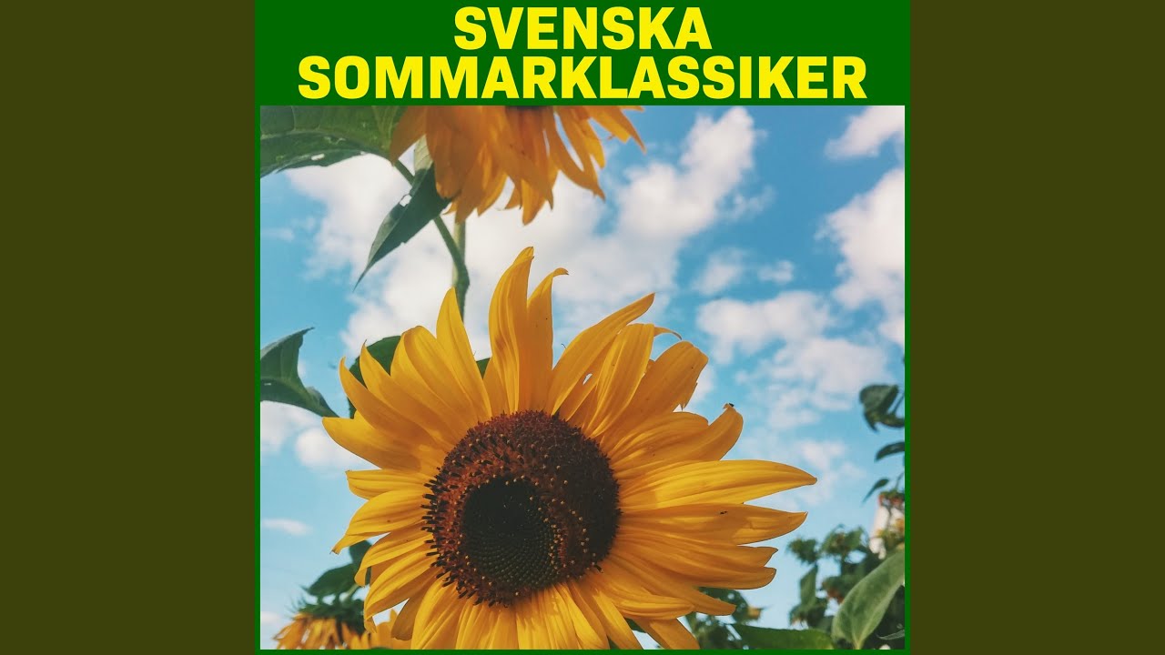 (Du är så) Yeah Yeah, Wow Wow