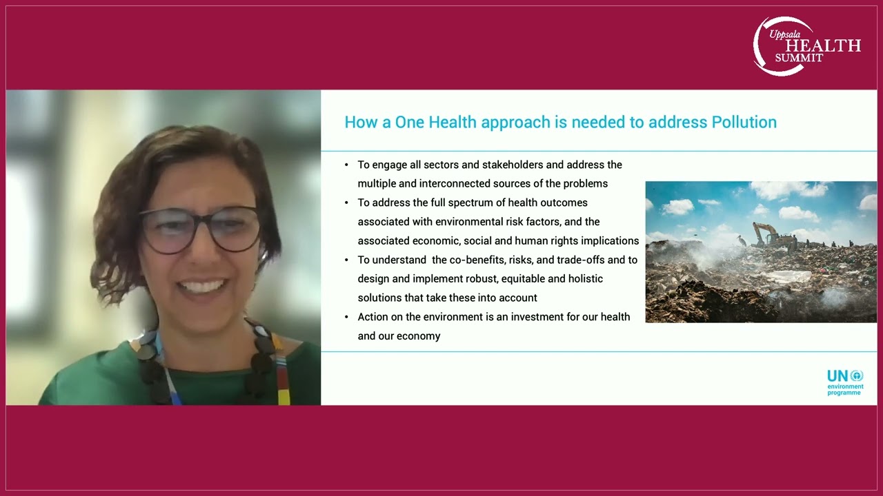Dr. Maria Cristina Zucca, Head of the Pollution and Health Unit, UNEP