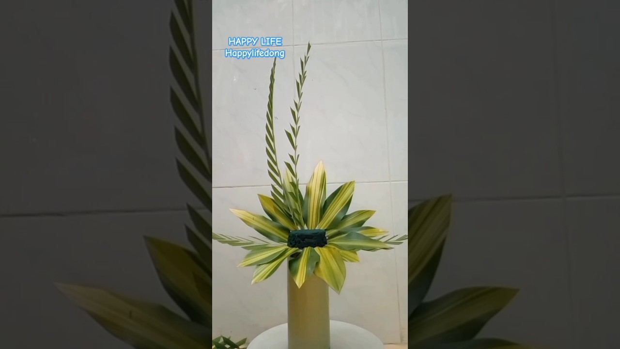 220#C&aacute;ch cắm hoa lan rất dễ #flowers #florist #diy flowers#homedecor