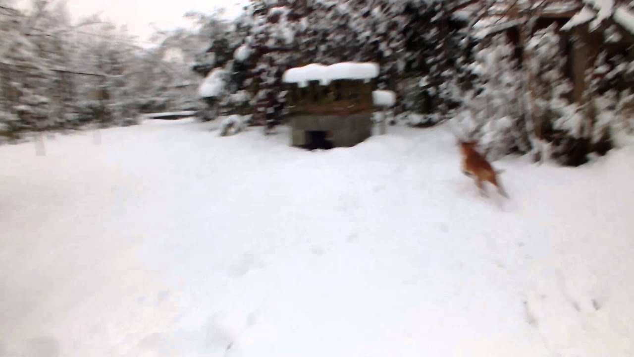 DSCF7196