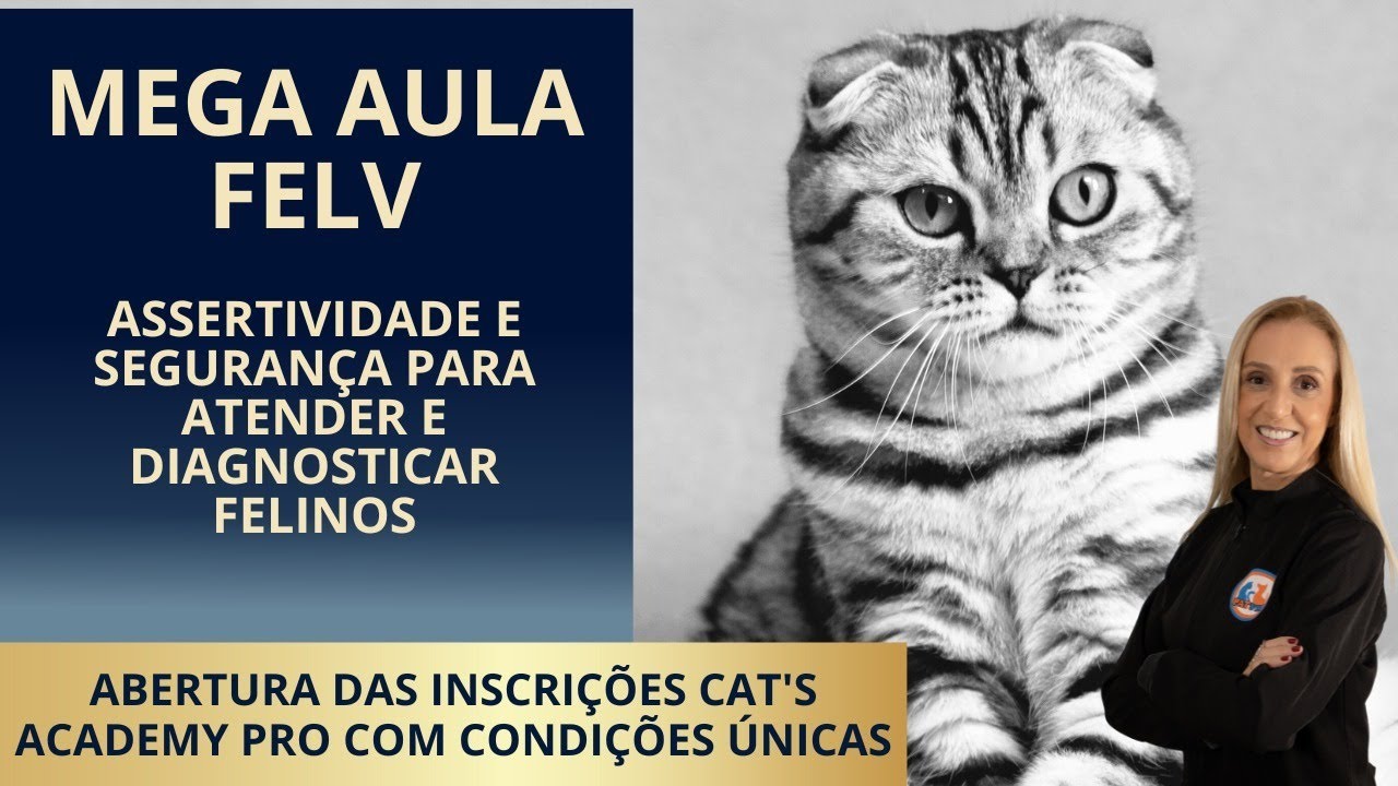 MEGA AULA FELV | Abertura Inscrições Cats Academy PRO