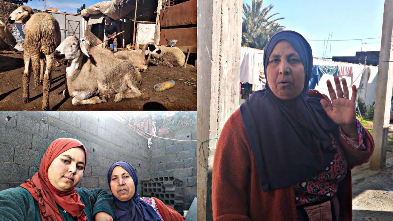 عولنا هد نهار نجمعوا جاتنا مشية الدار بيضاء وحنى فرحانين🫶ناس كازا  راه جاين طالبين ضيف الله 