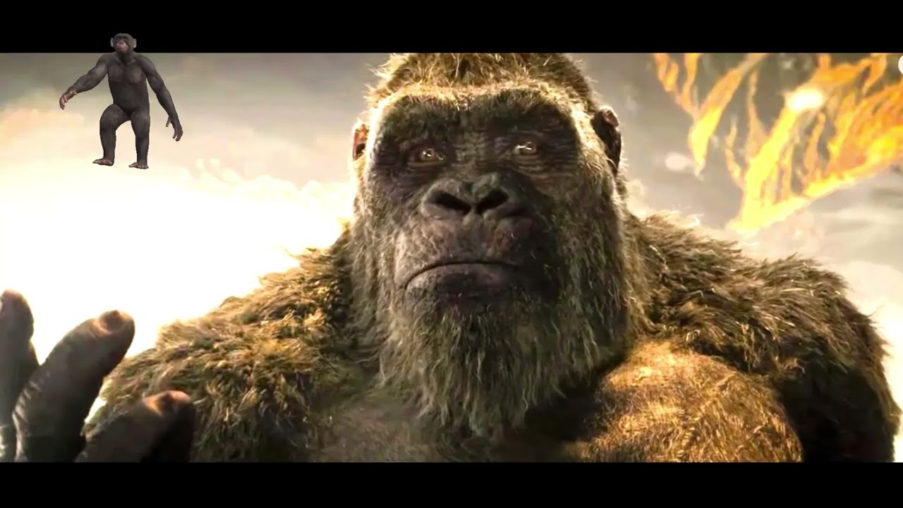 Is Kong just a scaled up gorilla? | Kaiju Lore