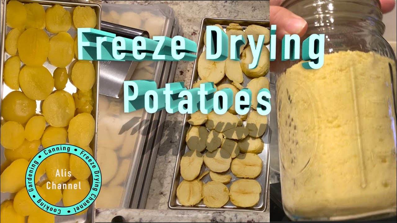 Freeze Drying  Potatoes and Rehydration