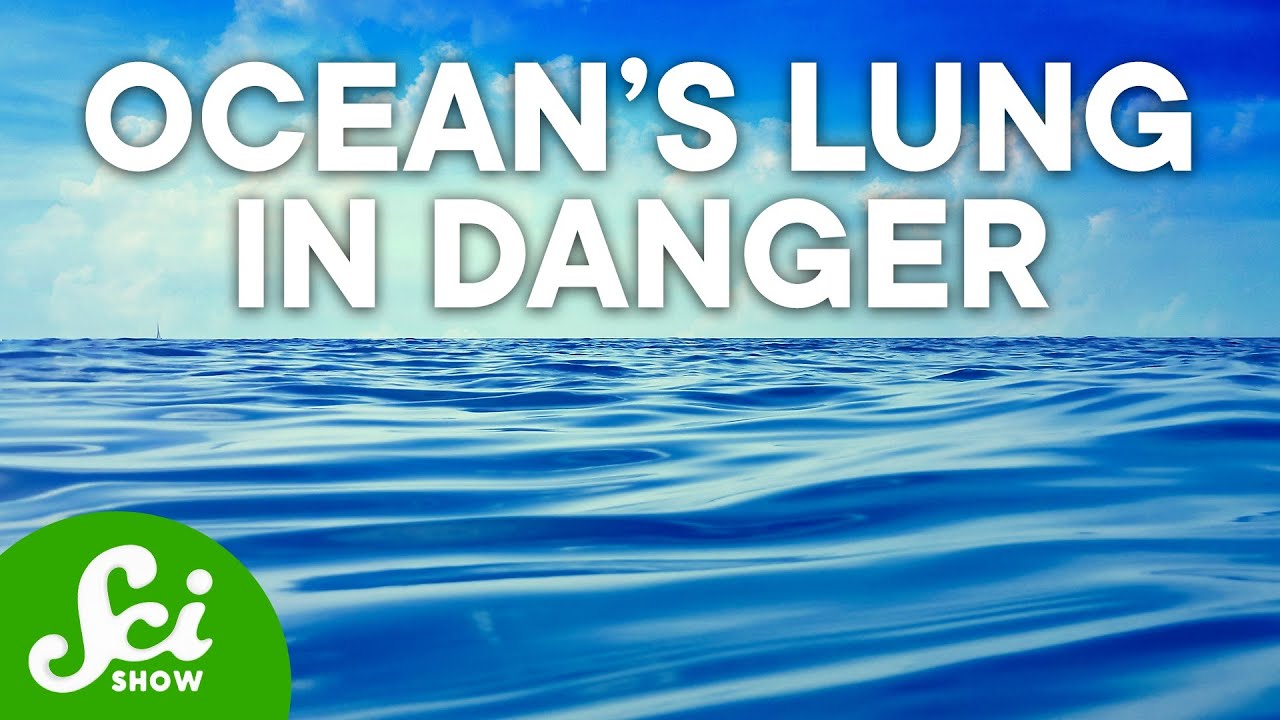 How Climate Change is Strangling our Oceans