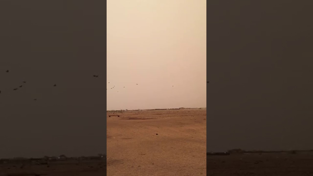 شذري المعجل طير هوا