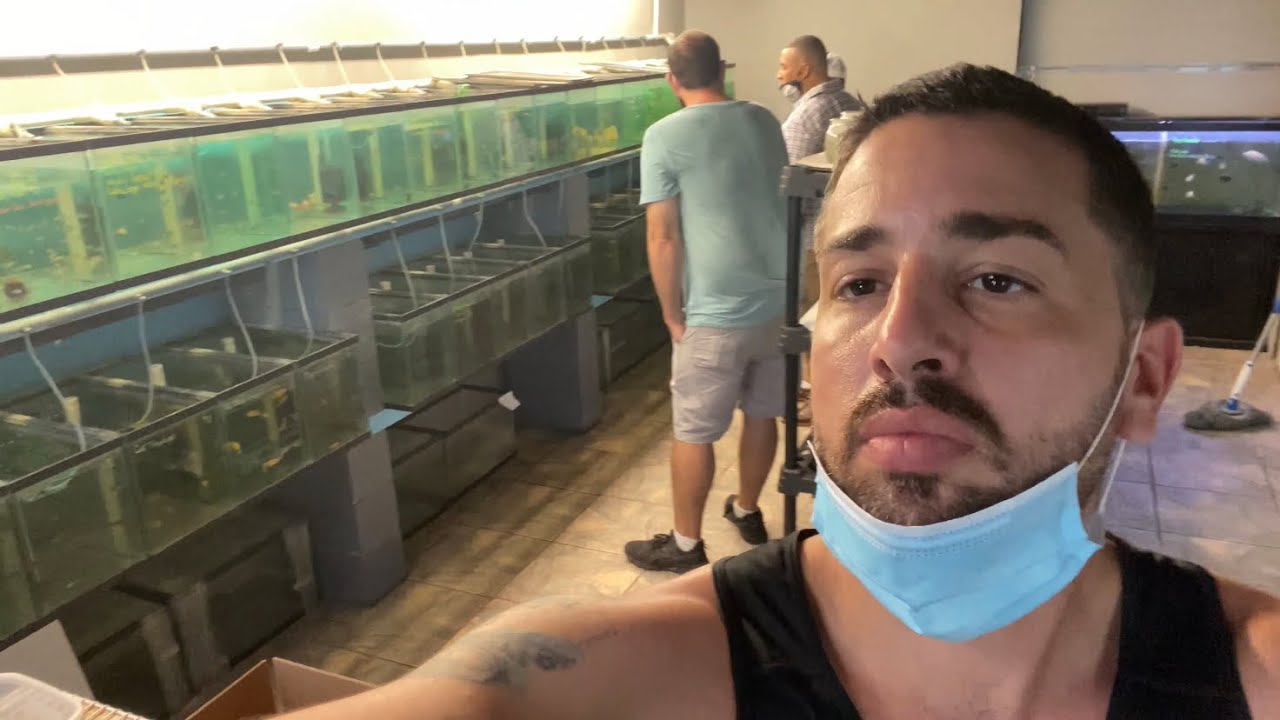 FLORIDA FISH FARM TOUR (CONSOLIDATED FISH FARM) vlog