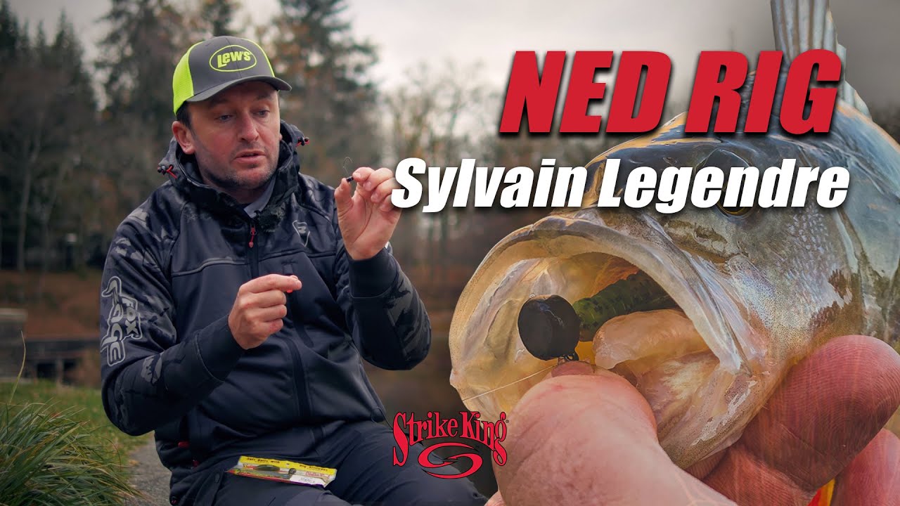 NED RIG by Sylvain Legendre