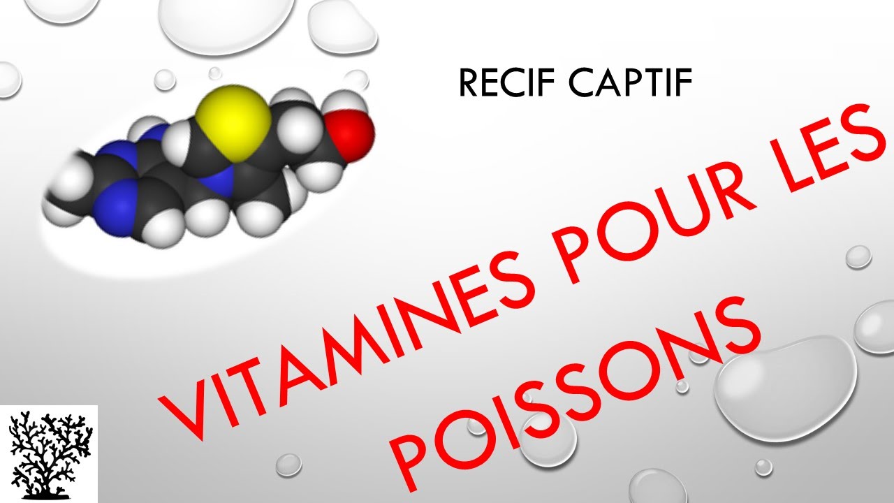 Les ajouts de vitamines pour les poissons - Mr Recif Captif #48