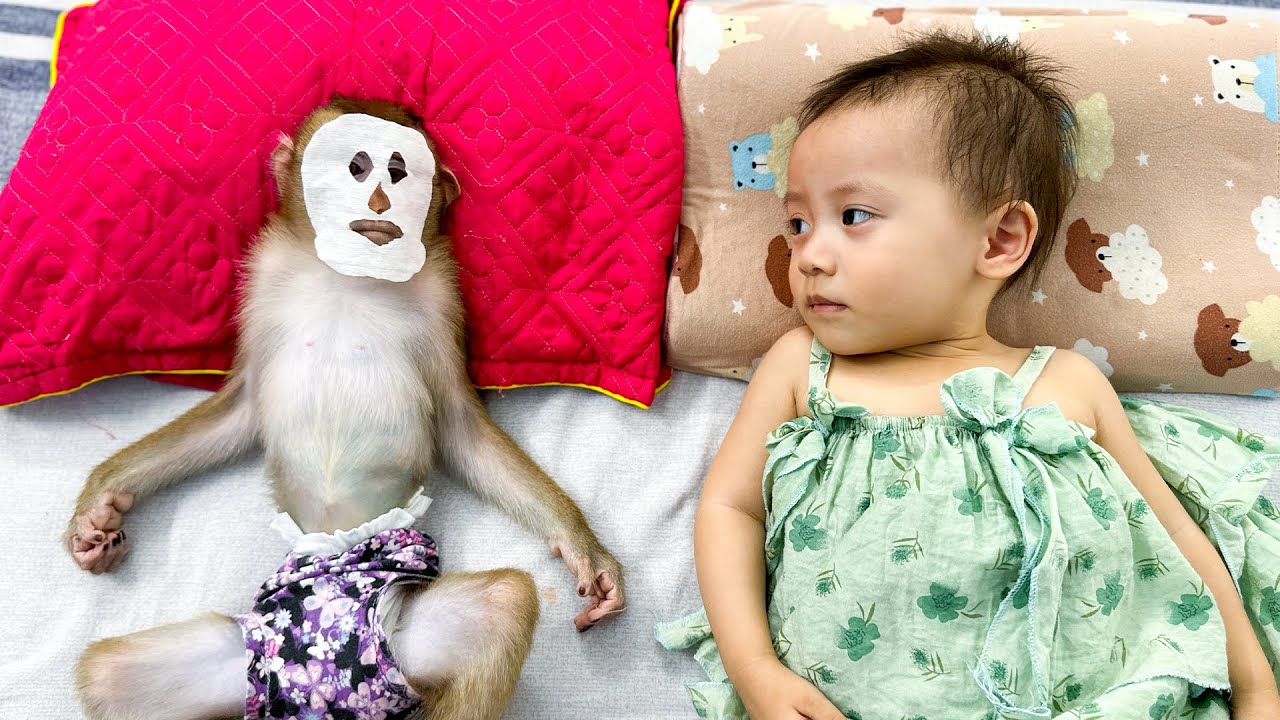 Monkey Kaka and Diem's Playdate Pranks: Hilarious Moments You Won't Believe!