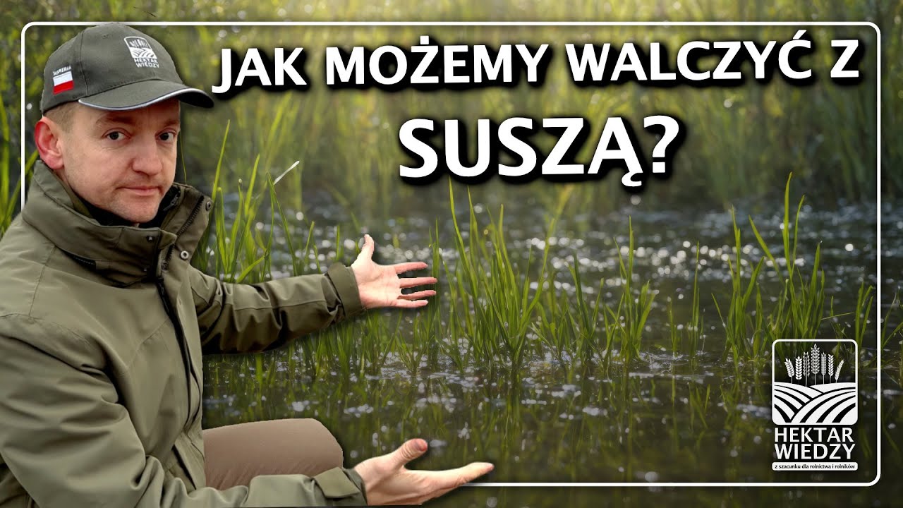 JAK MOŻEMY WALCZYĆ Z SUSZĄ | #hektarwiedzy