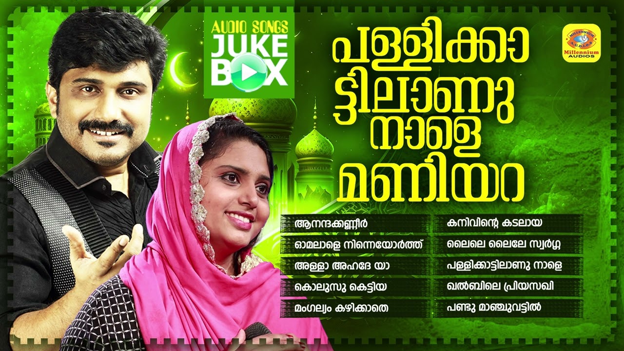 പള്ളിക്കാട്ടിലാണ് നാളെ മണിയറ | Mappilappattu Audio Jukebox | Afsal | Shahaja Malappuram