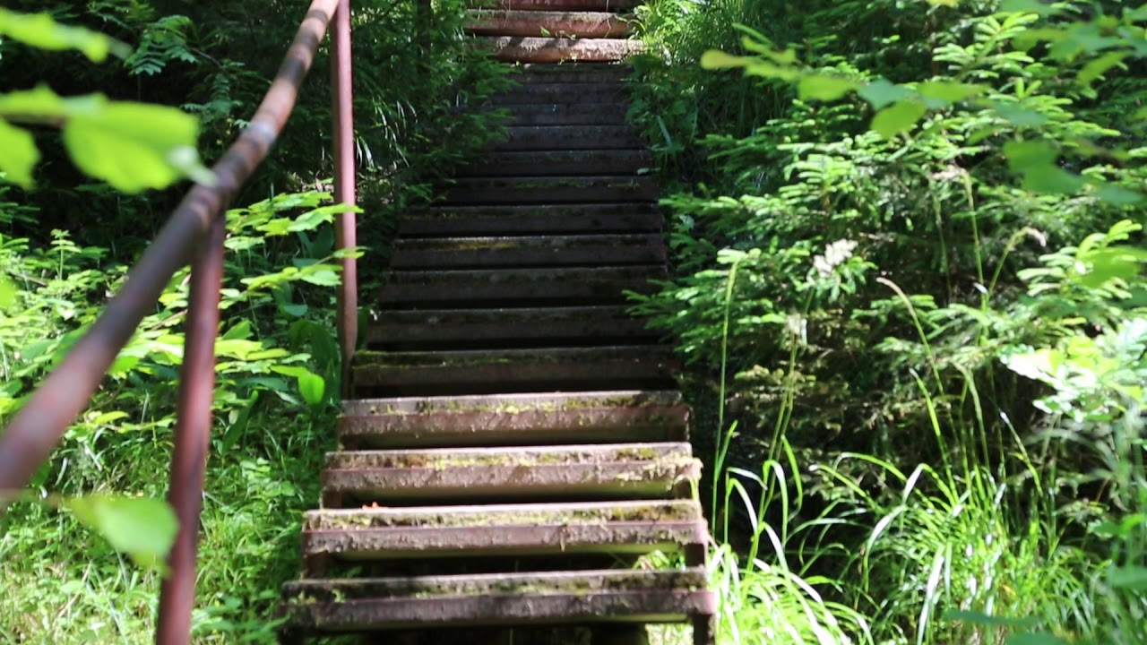 Latvia Mazsalaca Nature park Dream stairs / Lettonie Mazsalaca Nature park Escalier des r&ecirc;ves