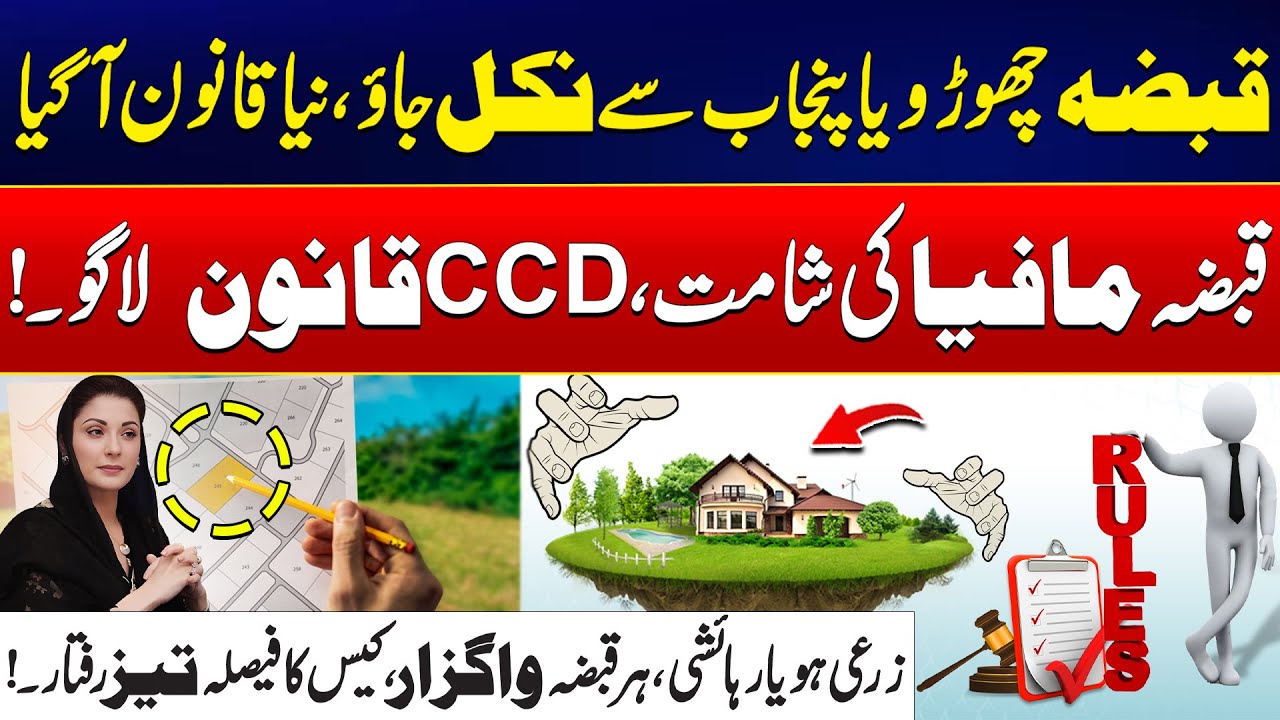 Qabza Mafia Ki Shamat | CCD Qanoon | Punjab Govt in Action | Must Watch | Ali Ramay's Vlog | City42