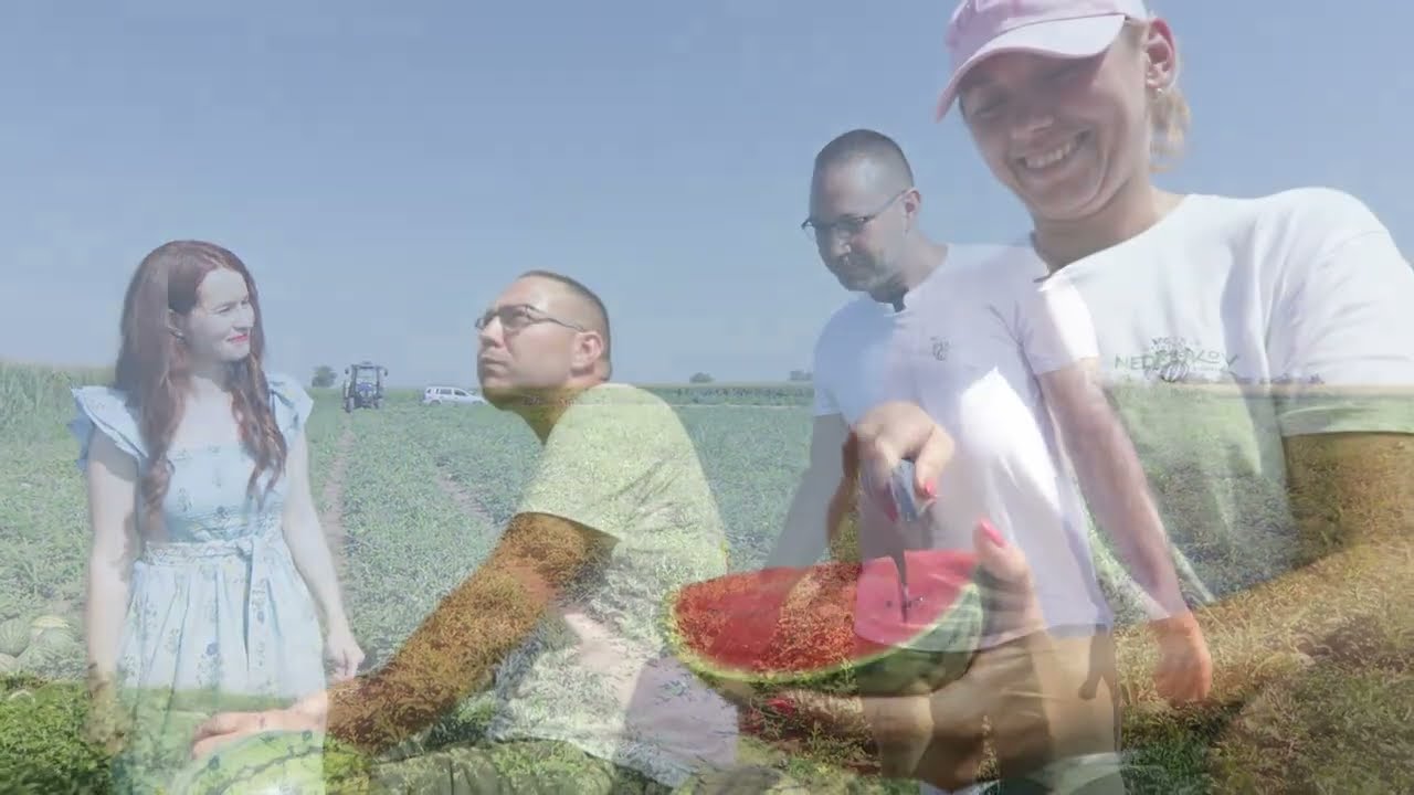 Brend moga sela ep. 244 16.08.2024. Mini lubenice, Slatka mala iz Kaća, Kać, I deo