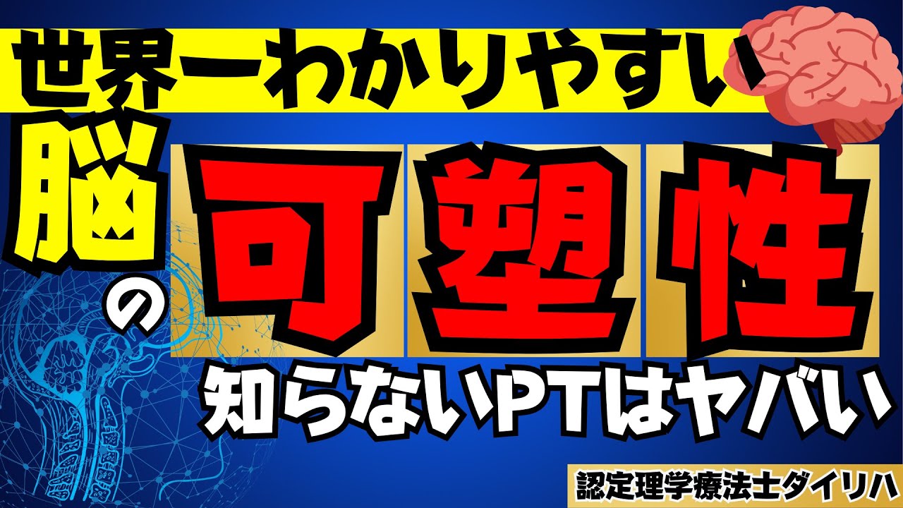 世界一わかりやすい脳の可塑性！#理学療法士#脳卒中リハビリ#可塑性