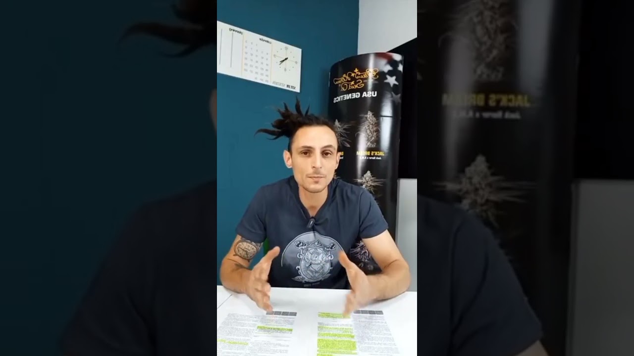DIFFERENZA SOSTANZIALE!! #cannabis #cbd #italy #extra