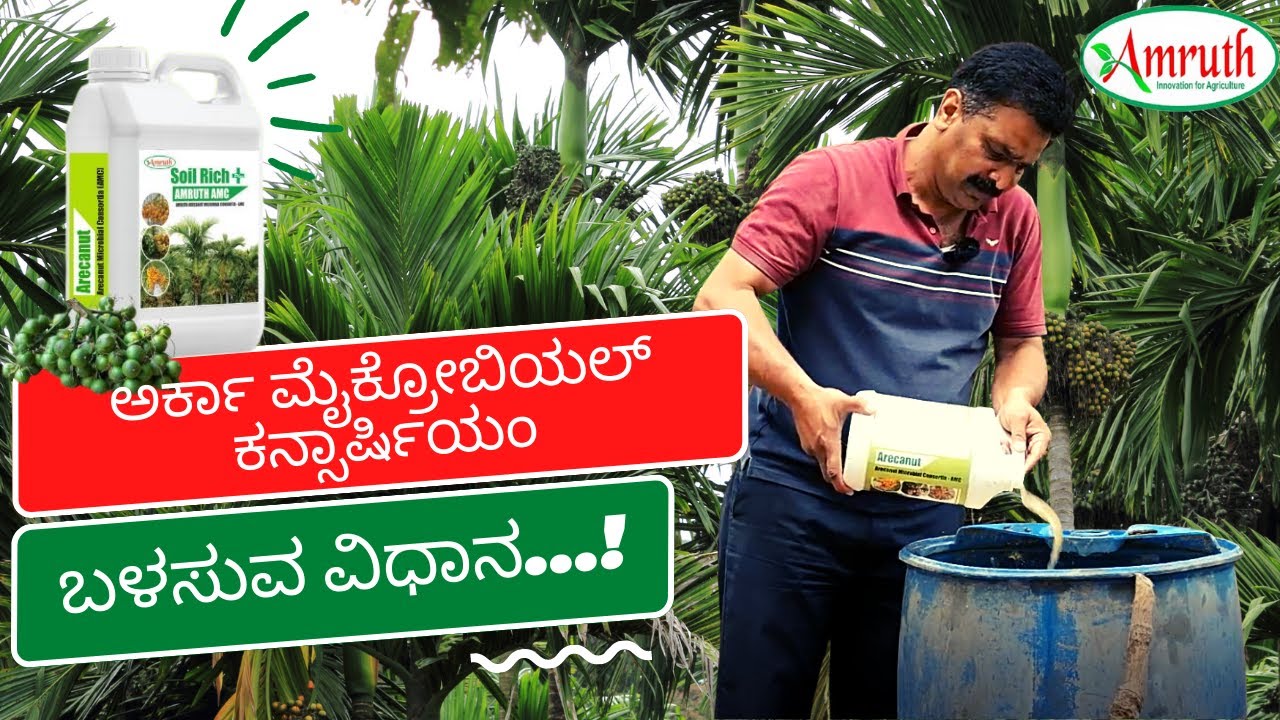 ಅರ್ಕಾ ಮೈಕ್ರೋಬಿಯಲ್ ಕನ್ಸಾರ್ಷಿಯಂ ಬಳಸುವ ವಿಧಾನ | HOW TO USE ARKA MICROBIAL CONSORTIA | SOIL RICH | AMRUTH