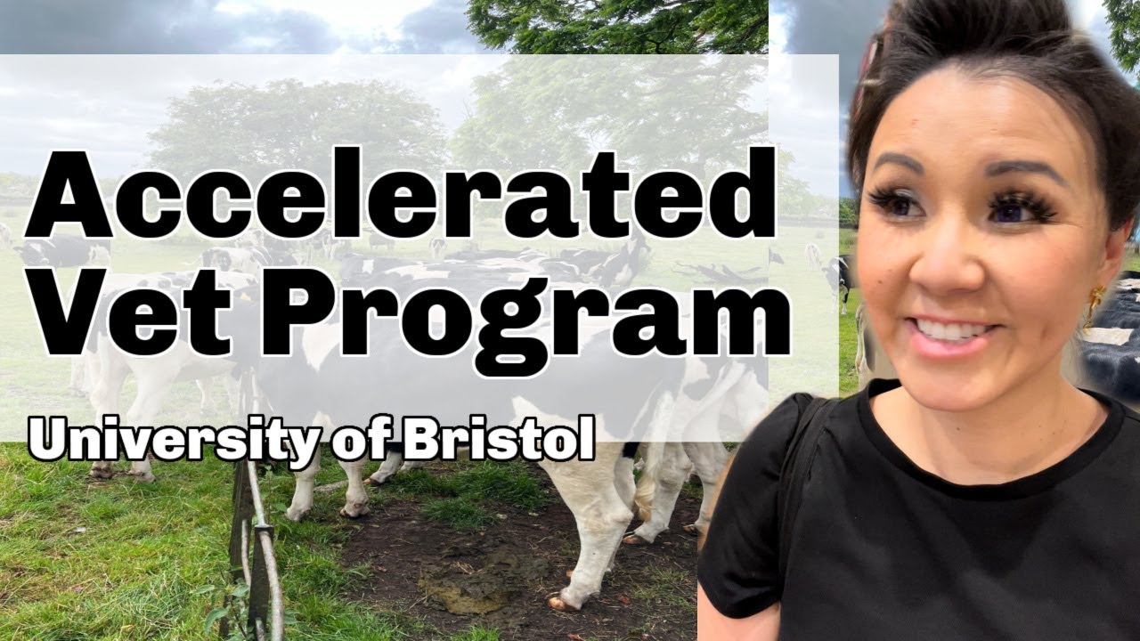 UK College Visit - Get your Vet Degree in 5 Years (!!!): University of Bristol