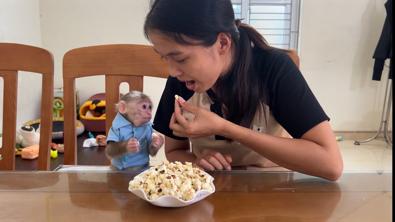 Monkey Abi makes popcorn for the first time with mom