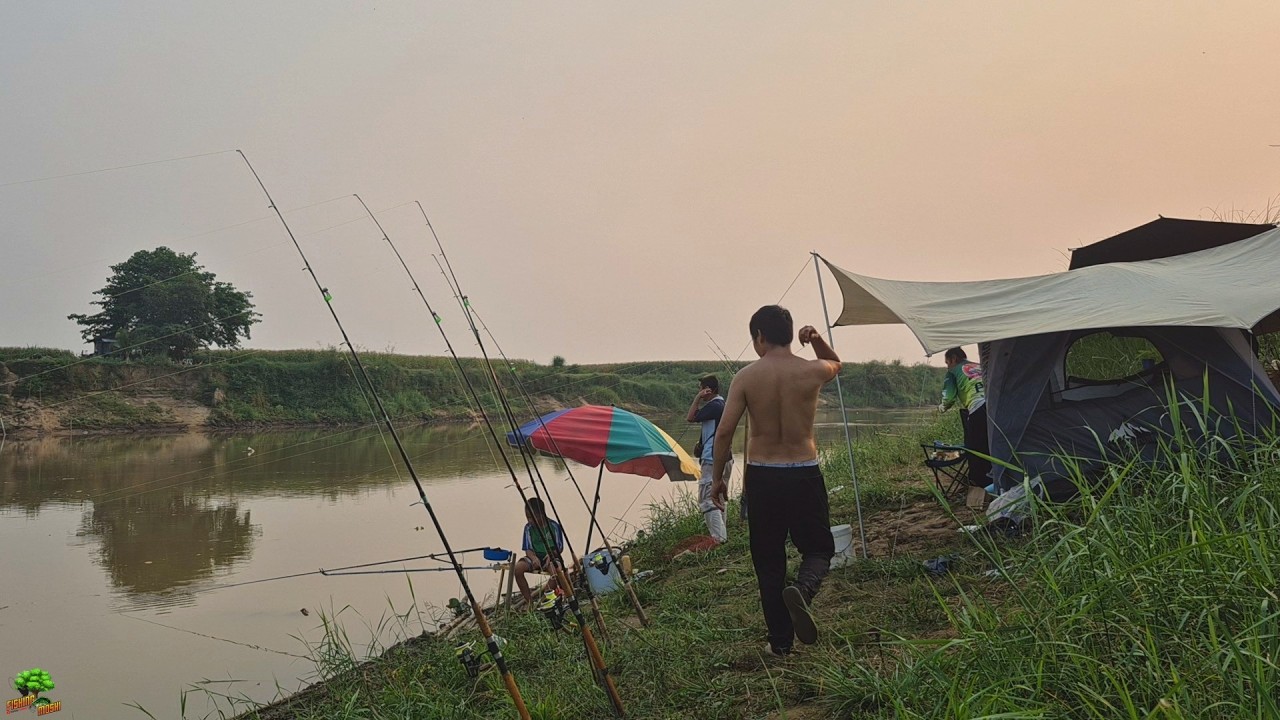 🐠EP.428 ฝ่าพายุ สู้ ปลายักษ์ ผจญภัย125 กิโลริมแม่น้ำกก เกือบเอาตัวไม่รอด  @fishingmoshi ​