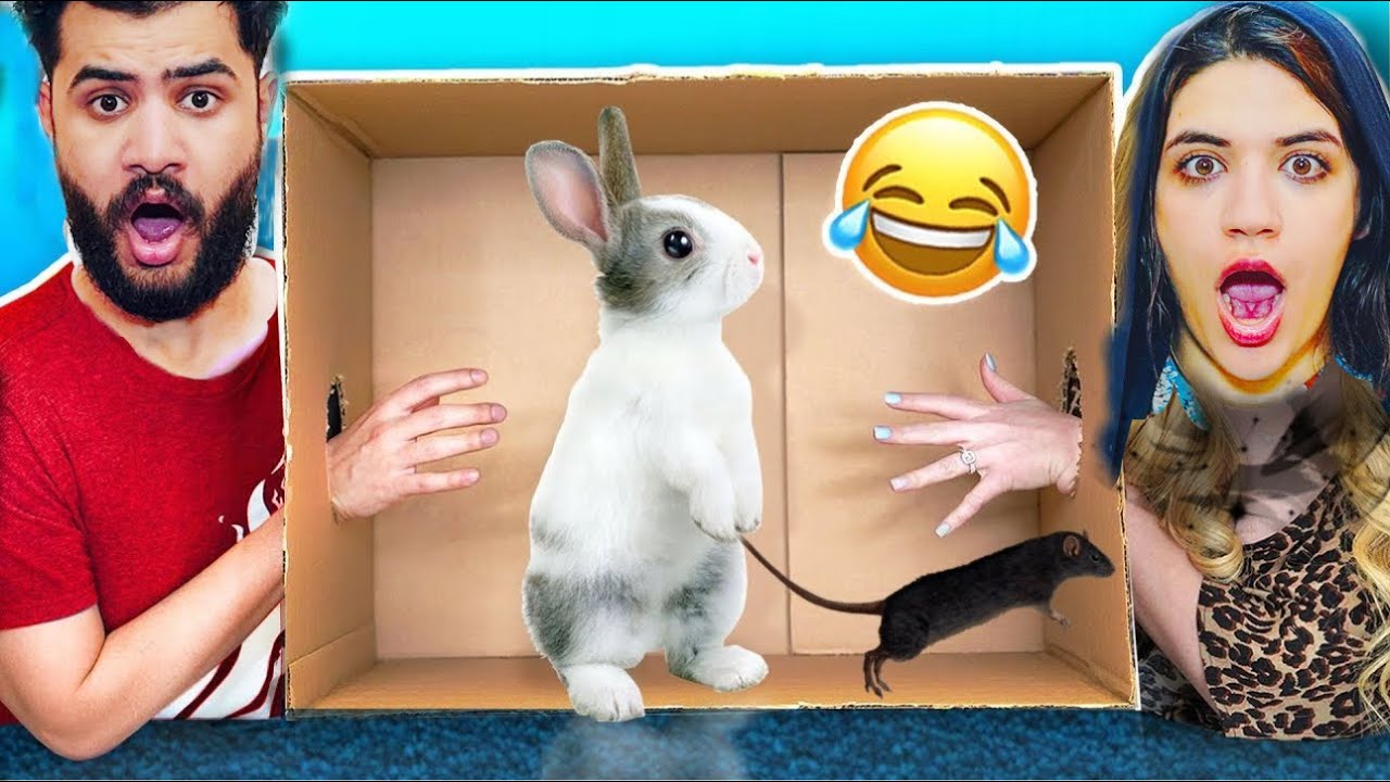تحدي تخمين نوع الحيوان 😱الفار عض ابننا الجديد👨‍🍼💔روحنا المستشفي (انهيار بكاء)