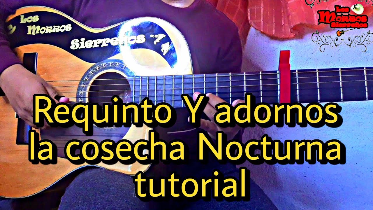 Requinto y adornos  la cosecha Nocturna (𝗧𝘂𝘁𝗼𝗿𝗶𝗮𝗹) los morros sierreños