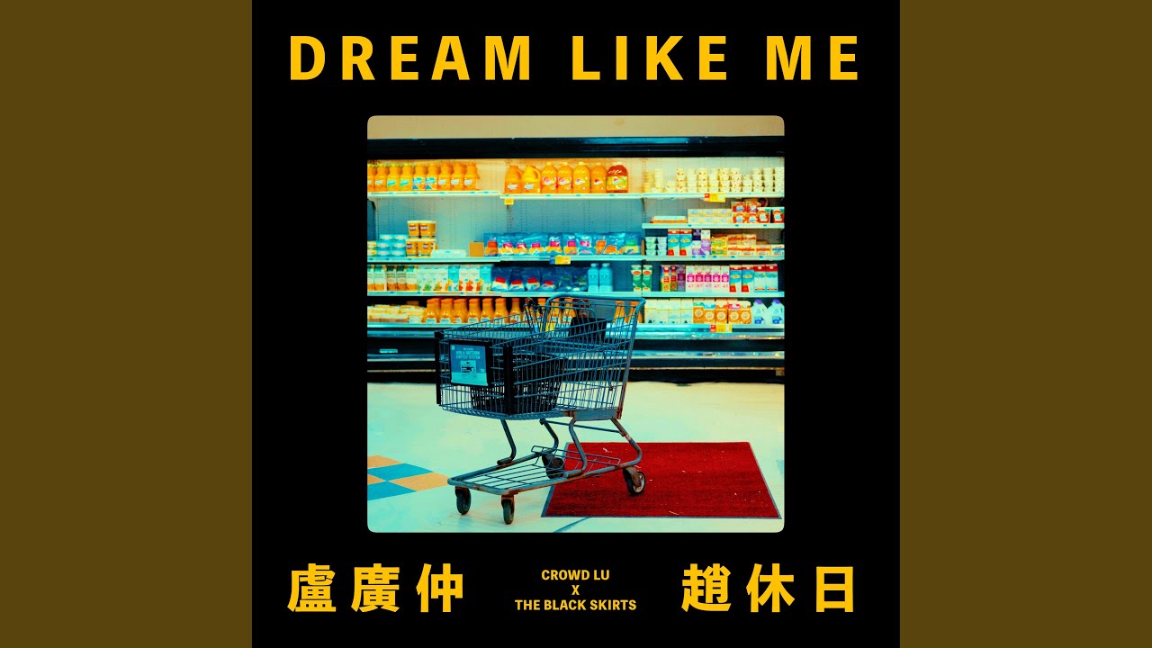DREAM LIKE ME