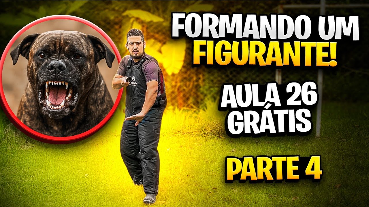 CURSO FIGURANTE DE CÃES DE PROTEÇÃO! [Parte 4]
