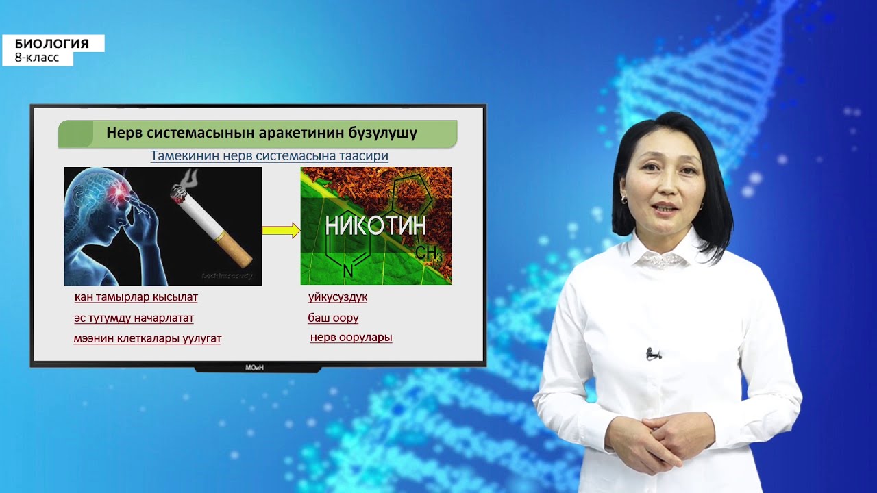 8-класс | Биология  | Сомалык нерв системасы жөнүндө түшүнүк. Вегетативдик нерв системасы