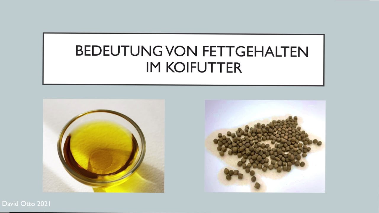 Nutramare Live #8 Fettgehalt im Koifutter - macht zu viel Fett im Koifutter Koi krank?