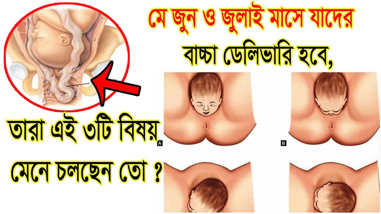 মে জুন ও জুলাই মাসে যাদের বাচ্চা  ডেলিভারি হবে, তারা এই ৩টি বিষয় মেনে চলছেন তো?7th,8th,9th pregnancy